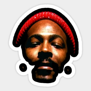 MARVIN GAYE Sticker